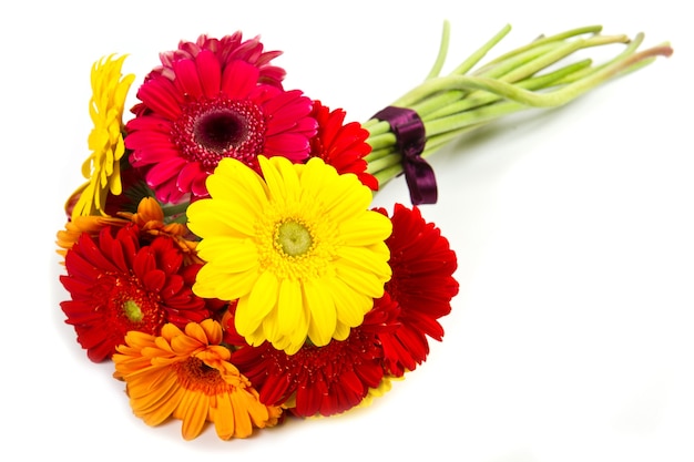 bouquet di fiori di gerbera colorati