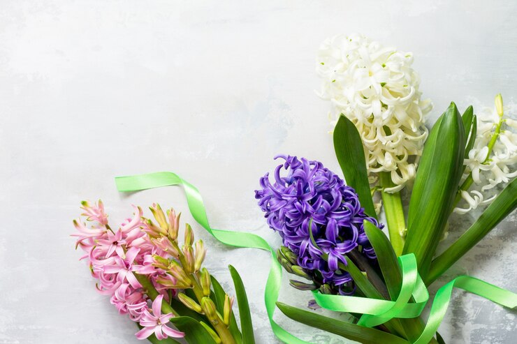 Foto bouquet di fiori di giacinto su sfondo di pietra o ardesia sfondo di fiori di primavera vista dall'alto