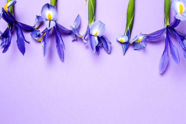 Bouquet di fiori di gigli blu. Iris germanica. Lay piatto