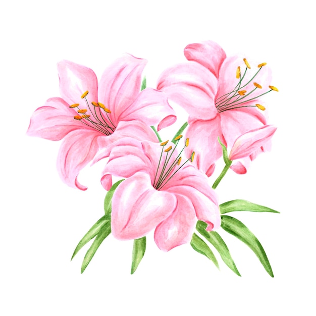 Bouquet di fiori di giglio rosa acquerello disegnato a mano con foglie verdi su carta banner etichetta poster bianco