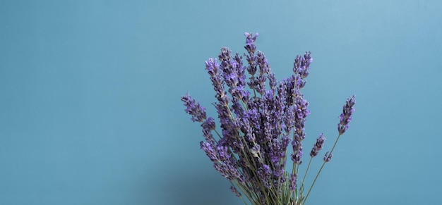 Bouquet di fiori di lavanda su sfondo colorato vista dall'alto Copia spazio