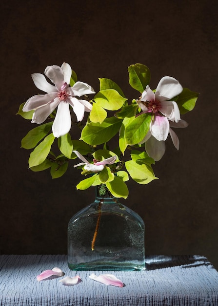 Bouquet di fiori di magnolia in vaso Albicocche