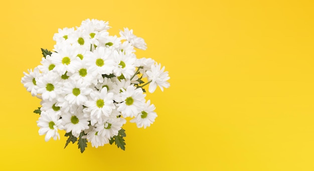 Bouquet di fiori di margherita bianca