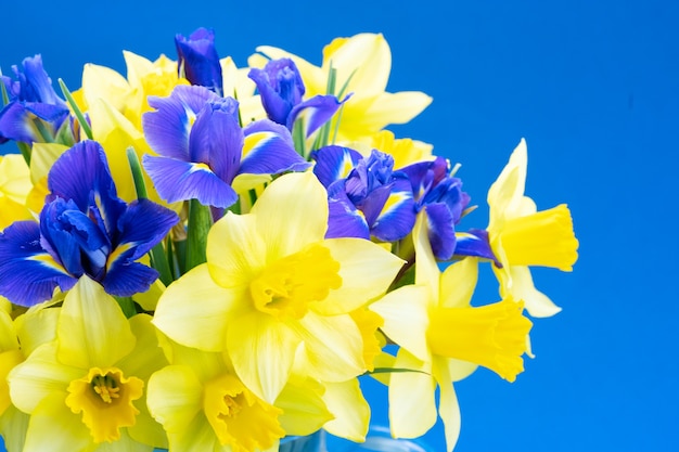 Bouquet di fiori di narciso e iris isolati