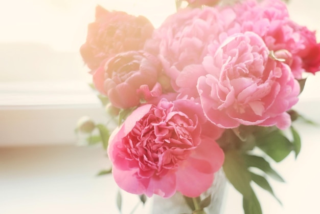 Bouquet di fiori di peonia rosa lunatico luce naturale del sole