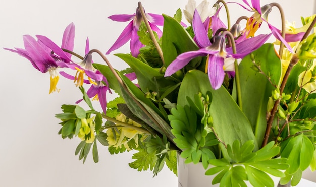 Bouquet di fiori di primavera foresta