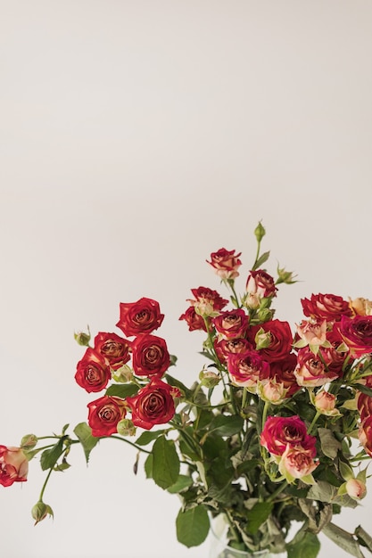 Bouquet di fiori di rose rosse su bianco