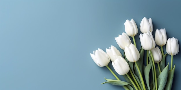 Bouquet di fiori di tulipani bianchi su sfondo blu Sfondo vista dall'alto con spazio per la copia