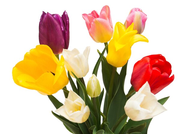 Bouquet di fiori di tulipani colorati e belli isolati su sfondo bianco. Natura morta, matrimonio. Disposizione piatta, vista dall'alto