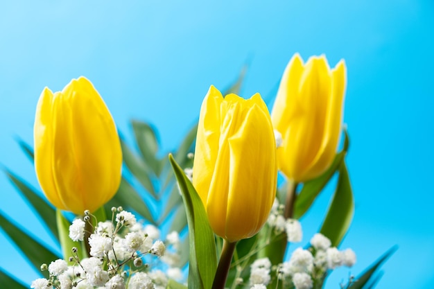 Bouquet di fiori di tulipani e gypsophila su sfondo blu copia il posto per testo ciao primavera dall'8 marzo