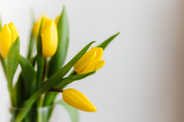 Bouquet di fiori di tulipano giallo in vaso