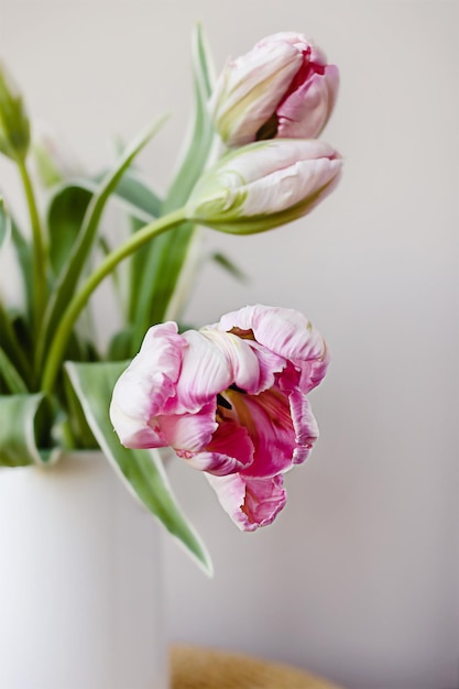 Bouquet di fiori di tulipano rosa con steli verdi freschi in un vaso di vasetto di porcellana bianca su una cornice di finestra bianca con sfondo blu cielo Vivace botanica colorata idea di arredamento floreale per la casa