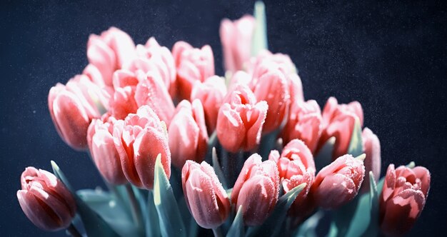 Bouquet di fiori freschi. Regalo di festa alla persona amata. Sfondo San Valentino. Composizione floreale di rose, tulipani, iris.