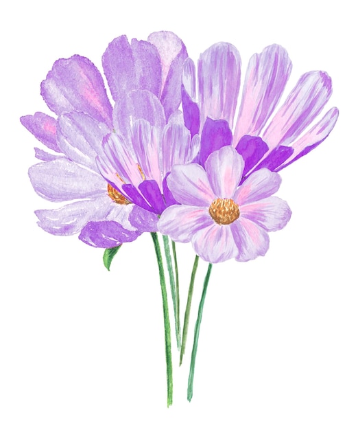 Bouquet di fiori. Illustrazione ad acquerello di fiori viola. illustrazione botanica