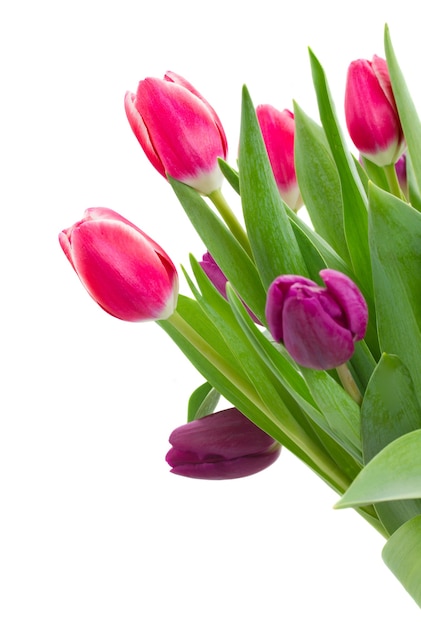 Bouquet di fiori isolati su bianco