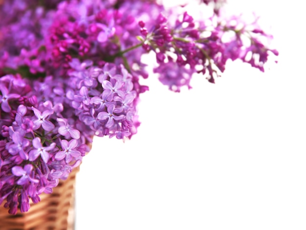 Bouquet di fiori lilla viola, da vicino