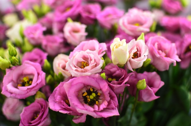 bouquet di fiori rosa