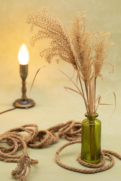 Bouquet di fiori secchi in vaso su fondo oliva in stile boho