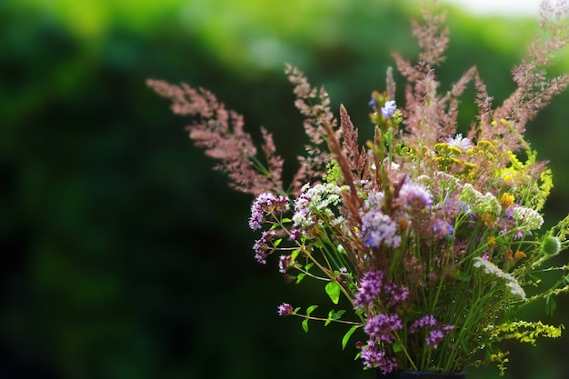 Bouquet di fiori selvatici in vaso in un giardino. Soft focus, bel bokeh bello
