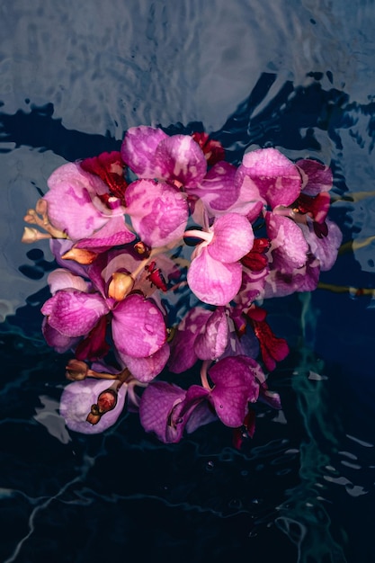 Bouquet di fiori tropicali freschi rosa che galleggiano nell'acqua Dettagli estetici femminili