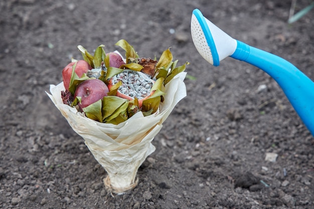 Bouquet di frutti marci e fiori appassiti piantati nel terreno come simbolo di un tentativo di rinnovare i sentimenti umani