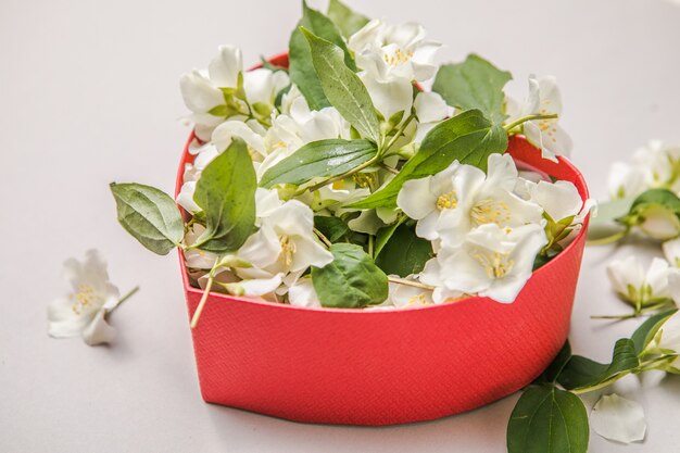 bouquet di gelsomino in confezione regalo cornice decorativa di congratulazioni di fiori di san valentino