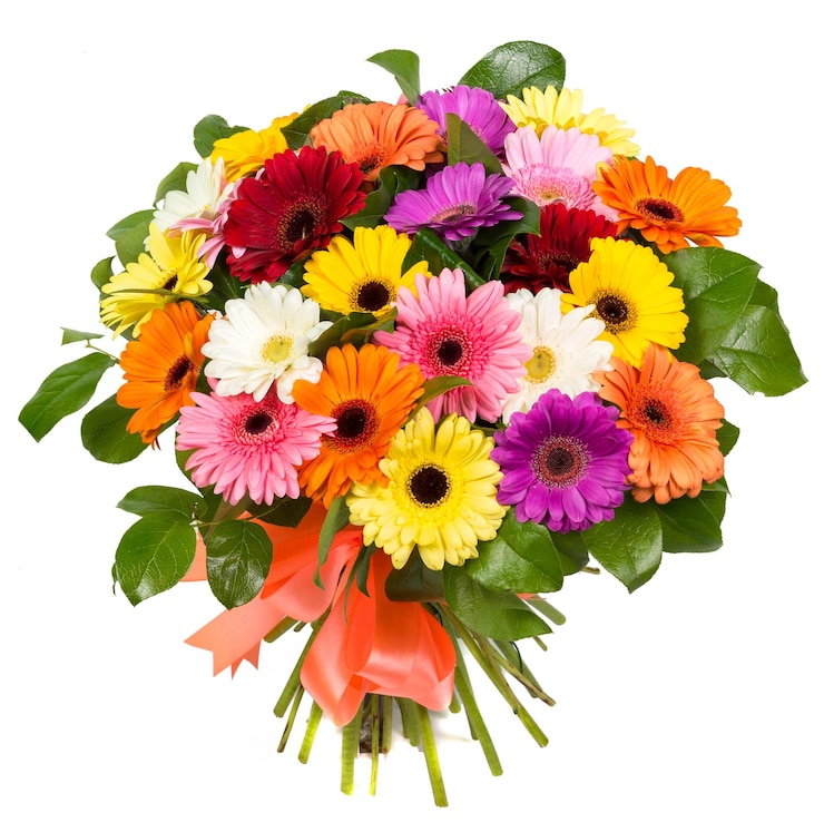 Foto bouquet di gerbere colorate