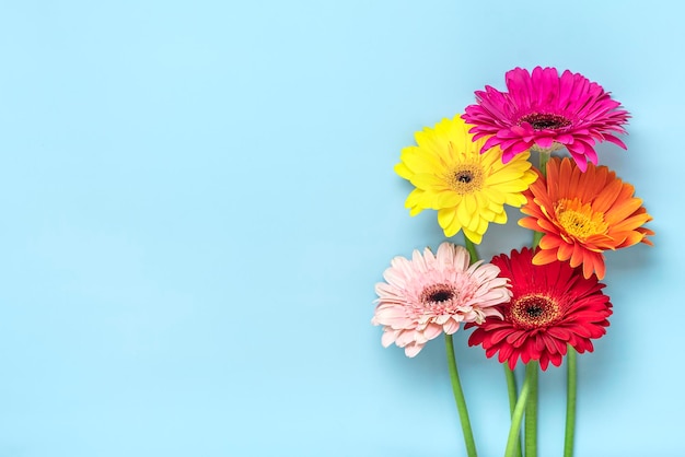 Bouquet di gerbere su sfondo blu Vista dall'alto Flat lay Biglietto di auguri per le vacanze