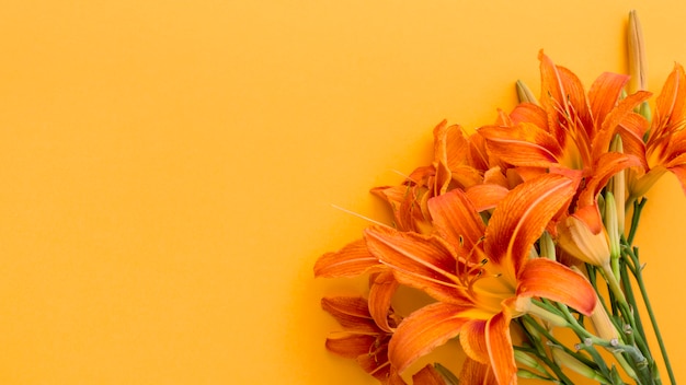 Bouquet di gigli arancioni distesi con copia-spazio