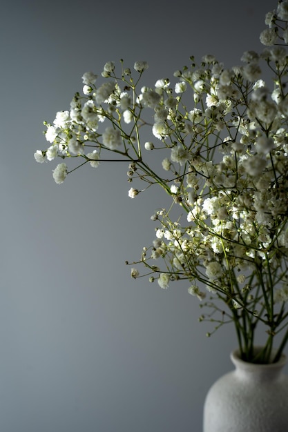 bouquet di gipsofila, piccoli fiori bianchi su sfondo grigio, spazio per il testo,