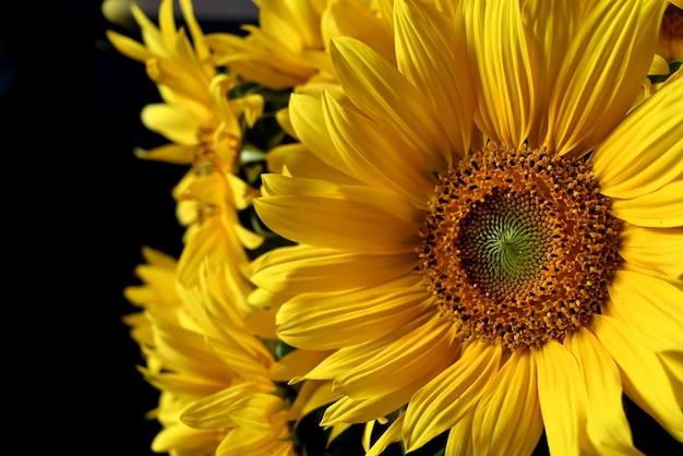 Bouquet di girasoli in broccaNatura morta da un bouquet di girasoli