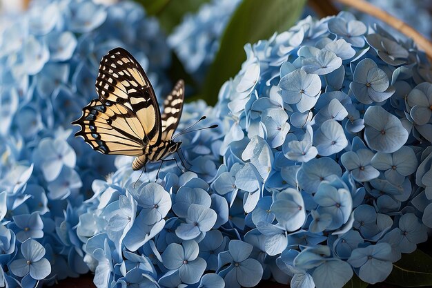 Bouquet di hortensie blu e farfalla sullo sfondo di un fiore