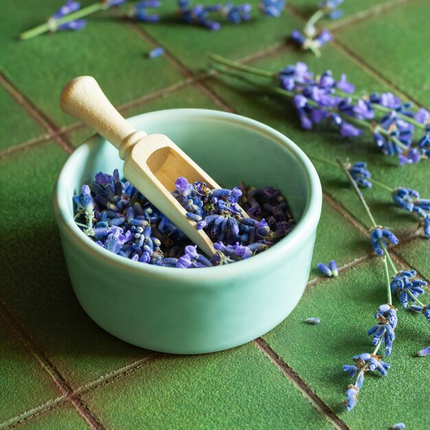 Bouquet di lavanda fresca su uno sfondo di consistenza verde Fiore profumato di erbe medicinali