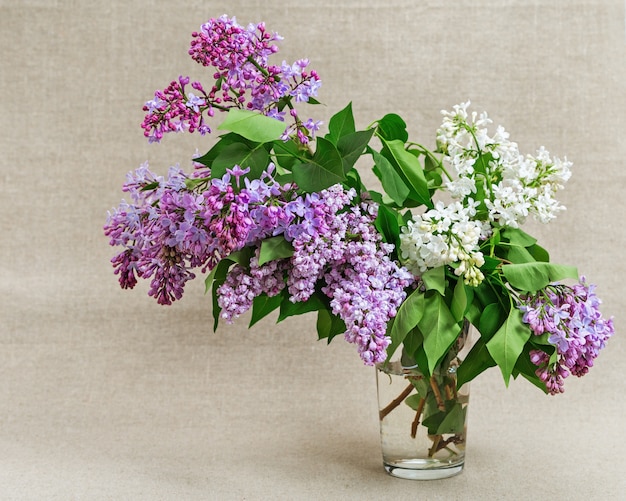 Bouquet di lillà in vaso di vetro. Fiori freschi lilla