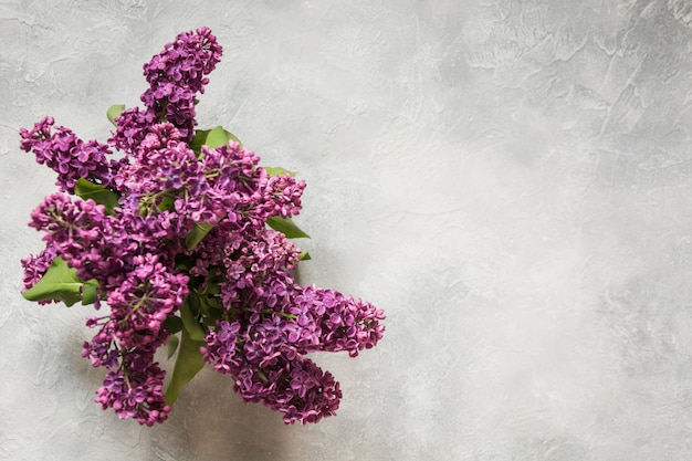 Bouquet di lillà viola sul tavolo luminoso