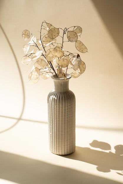 Bouquet di lunarie essiccate in vaso di ceramica su sfondo beige per studio