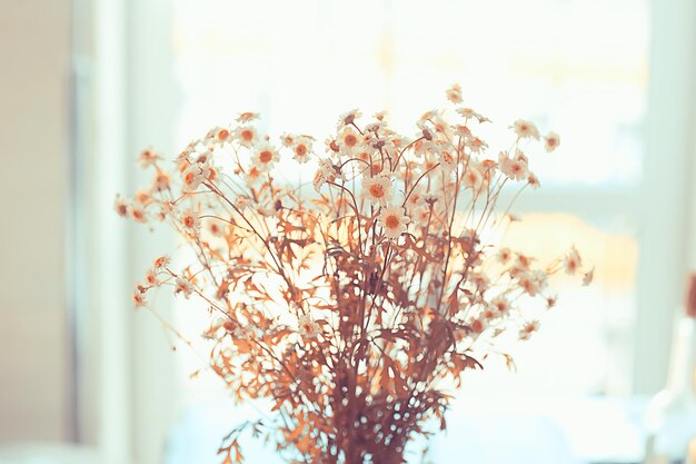 bouquet di margherite / concetto regalo romantico estivo, familiarità, un mazzo di fiori di campo