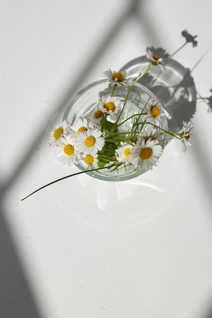 Bouquet di margherite fiori di camomilla in vetro Estetica concetto di luce solare minima