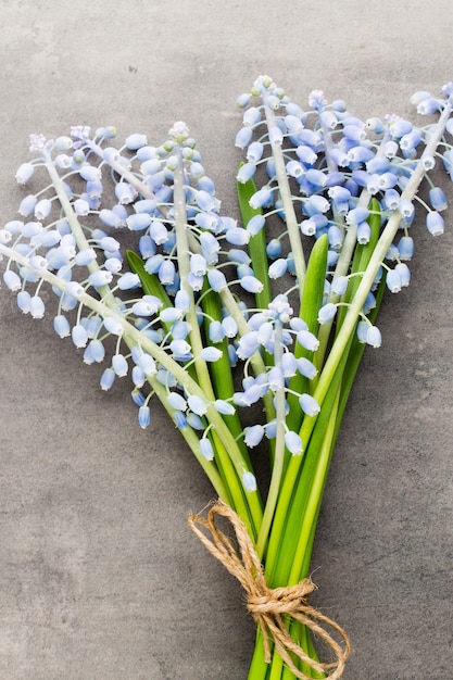 Bouquet di muscari blu su sfondo grigio rustico.