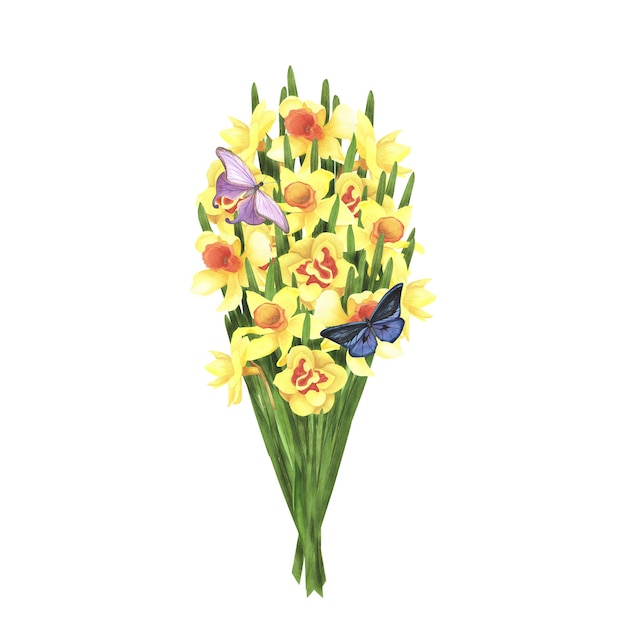 Bouquet di narcisi con farfalla su sfondo bianco Illustrazione del disegno a mano ad acquerello Arte per il design