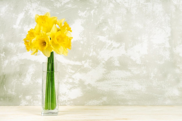 Bouquet di narcisi gialli narcisi in vaso su fondo di gesso bianco con spazio per la copia