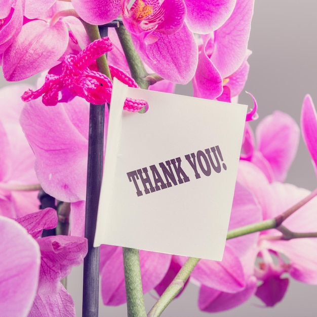 Bouquet di orchidee con una nota di ringraziamento