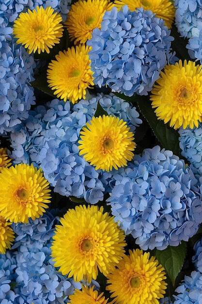 Bouquet di ortensie blu e astri gialli sullo sfondo di un fiore