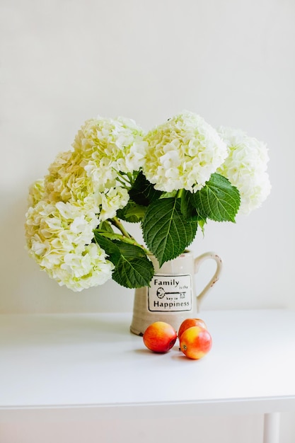 bouquet di ortensie in vaso su sfondo bianco