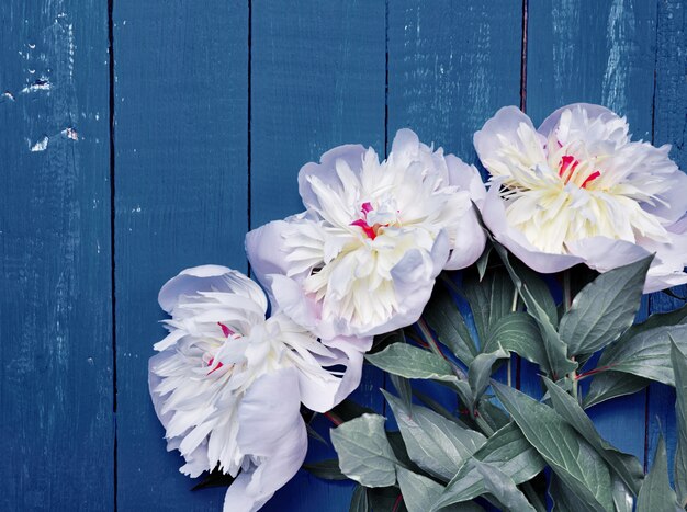 Bouquet di peonie bianche