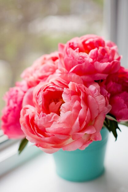 Bouquet di peonie di corallo in secchio color menta su un davanzale