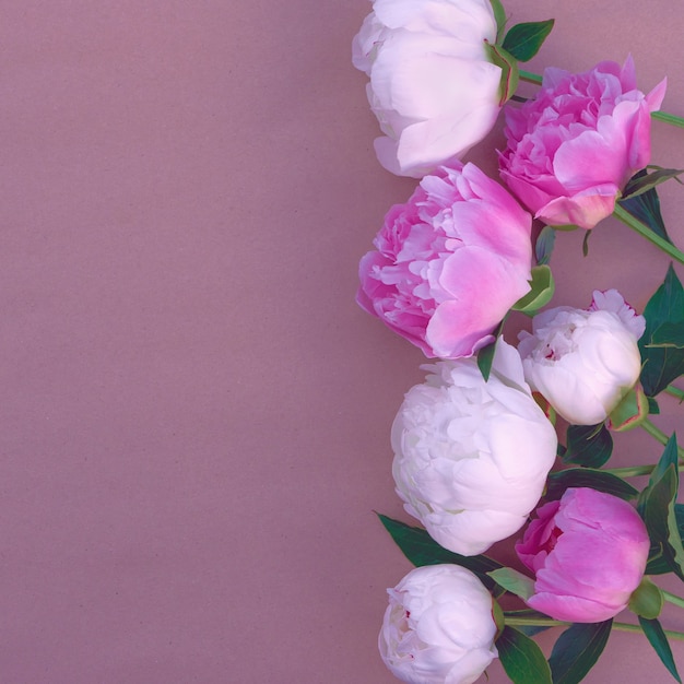 Bouquet di peonie rosa e bianche ravvicinate con copia spazio per il design.