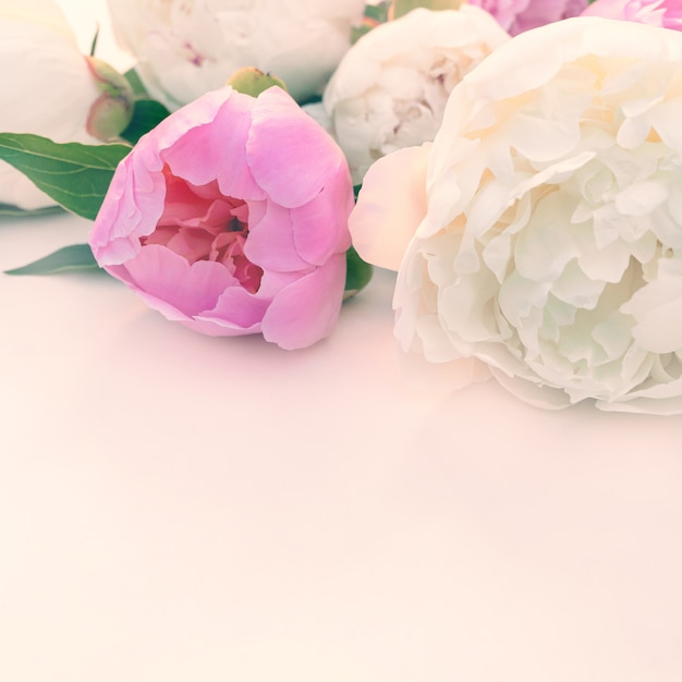 Bouquet di peonie rosa e bianche ravvicinate con copia spazio per il design.