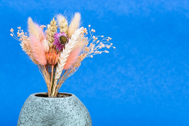 Bouquet di piante essiccate in vaso di ceramica sul blu