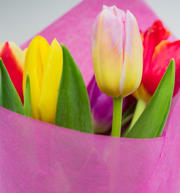 Bouquet di primavera bella di tulipani multicolori. Primo piano, soft focus